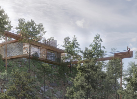 Elevated Bridges and Cross-Laminated Timber Amidst Forest Serenity