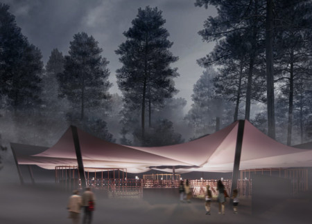 Central Fire and Ecological Transition in a Community Gathering Space