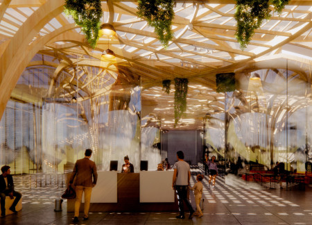 Forest Atmosphere Elevated by Timber and Geothermal Systems