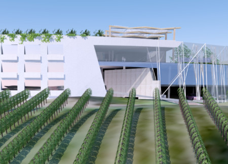 Ceramic Facades and Green Terraces in a Vineyard Hotel