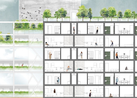 Terraced Living Spaces with Spruce and Pine in a Sustainable Community Design