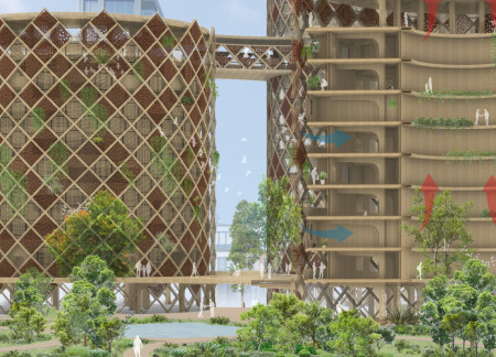 Bamboo Habitat Enhances Urban Biodiversity with Permeable Ground