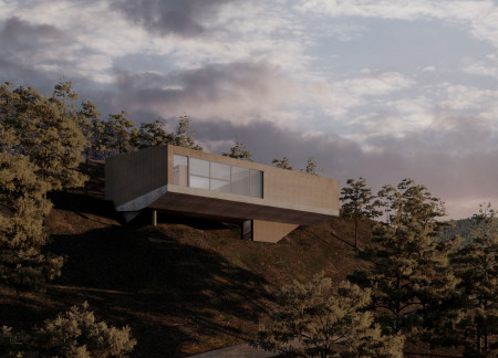 Elevated Sanctuary with Concrete and Wooden Serenity