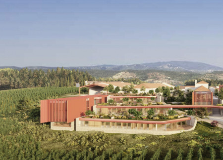 Stone and Steel Terraces Framing Vineyard Views in a Community Setting