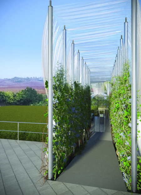 Reflecting Steel and Green Marble Structure Embracing Vineyard Experiences