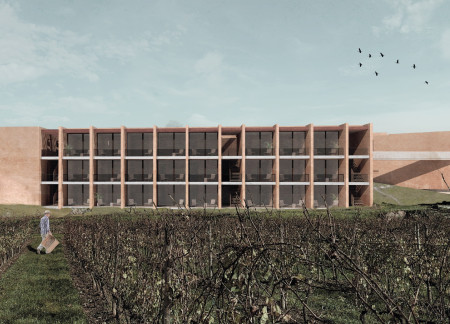 Terracotta Tones Framing Vineyards in a Community-Focused Retreat