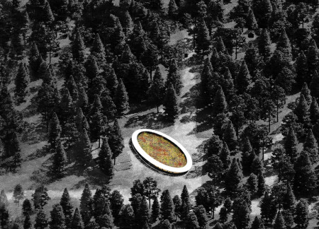 Zinc Aluminium Urn Surrounded by Lush Greenery for Contemplative Reflection