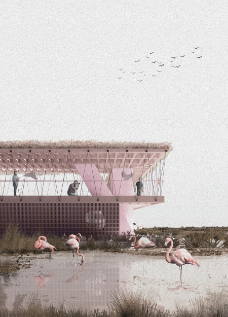 Pigmented Concrete Structures Merging with Natural Timber in a Wetland Visitor Centre