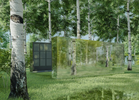 Reflective Niches in Black Marble Within a Forest Landscape