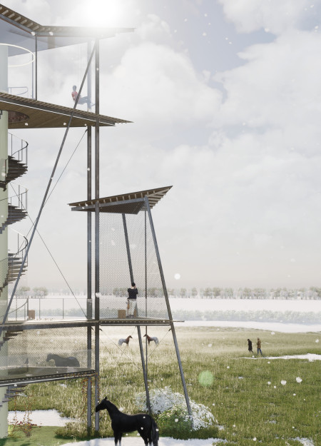 Triangular Platforms with Wooden Shingles Overlooking Wildlife Habitat
