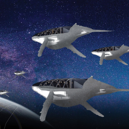 Nomadic Living Within Organic Forms and Natural Materials