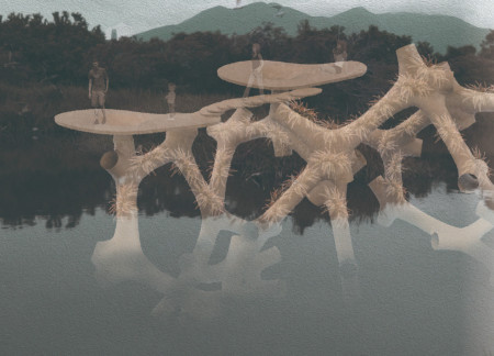 Ferns and High-Density Porous Layers in Urban Water Filtration