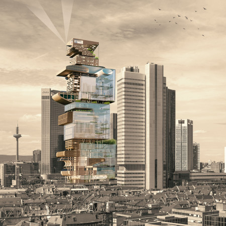 Cubic Forms Defining Community Spaces with a Central Observatory