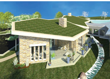 Healing Spaces Enhanced by Natural Landscaping and Sustainable Features