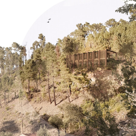 Natural Light Filtered Through Wood and Glass in a Tranquil Retreat