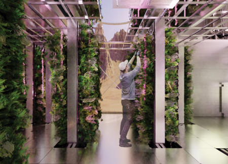 Hydroponic Living Spaces with Stainless Steel and Solar Integration