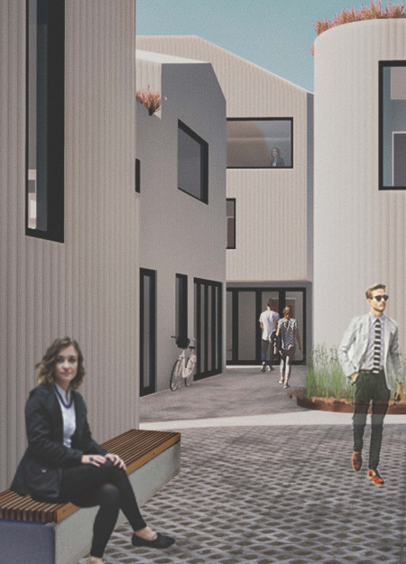 Passive Cooling and Structural Panels for Affordable Backyard Living