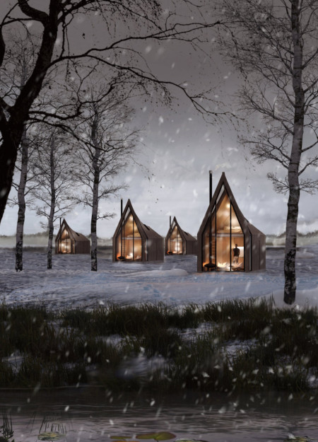 Hearth-Centered Retreat with Birch Cladding and Natural Elements