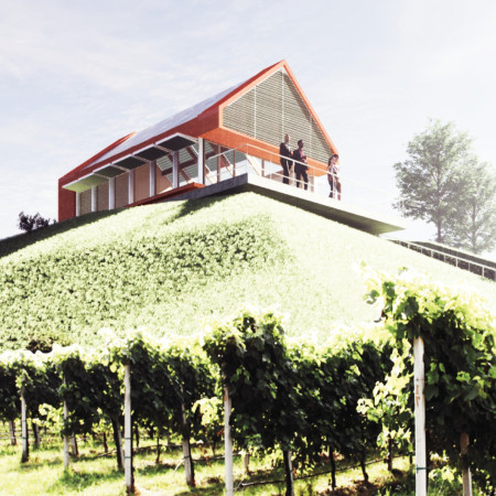 Steel Shutters and Plastered Walls Enhancing Vineyard Views in a Communal Tasting Room