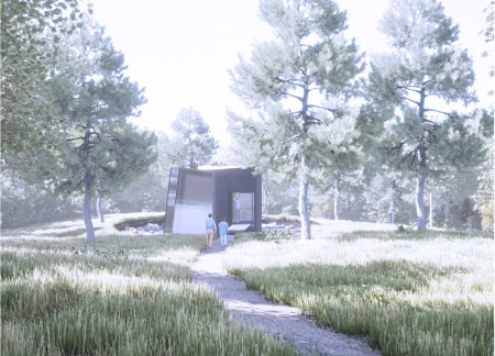 Geometric Serenity with Polished Concrete and Radiata Pine Elements