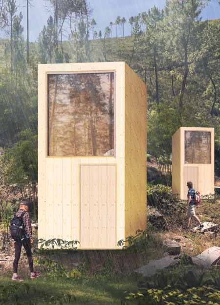 Hinoki Wood Retreat Featuring Grounded Container Design