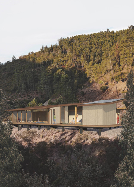 Natural Light Spaces with Thermacork and Pine for Mindful Meditation