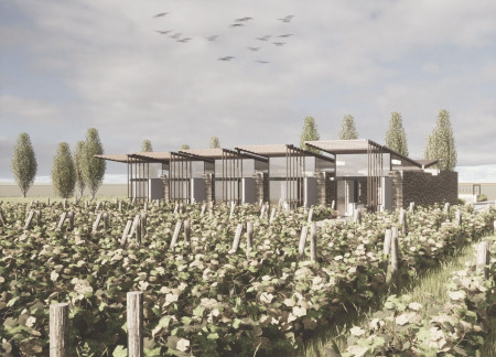 Timber Trellises and Butterfly Roofs Nestled Within a Sustainable Vineyard Landscape