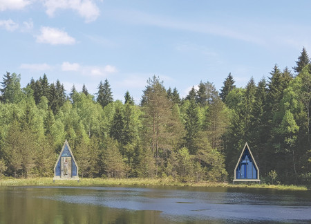 Moss-Covered Roofs Enhancing Community Retreats with Local Wood