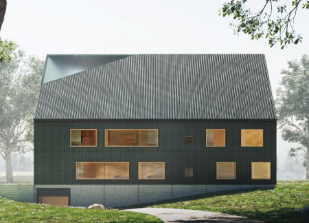 X-Shaped Living Spaces Connecting Two Families by a Tranquil Lake