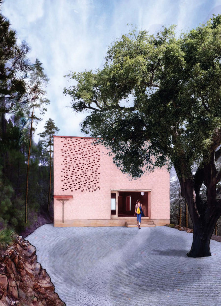 Cork Retreat Emphasizing Natural Light and Mindful Space