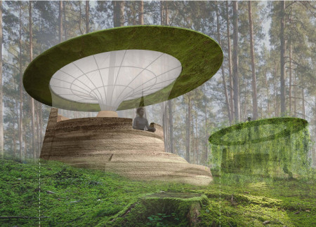 Cascading Vines and Rammed Earth Create a Tranquil Forest Retreat