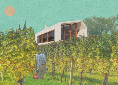 Cork Insulation and Photovoltaic Panels Shape a Sustainable Tasting Room Experience
