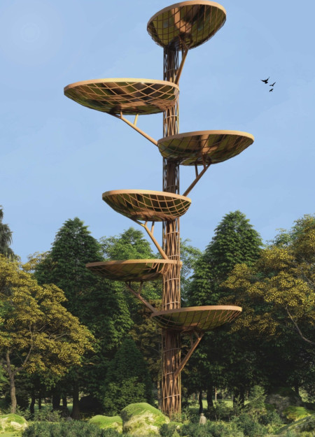 Elevated Canopy Spaces in a Forest Cemetery Reflecting Nature&rsquo;s Cycles