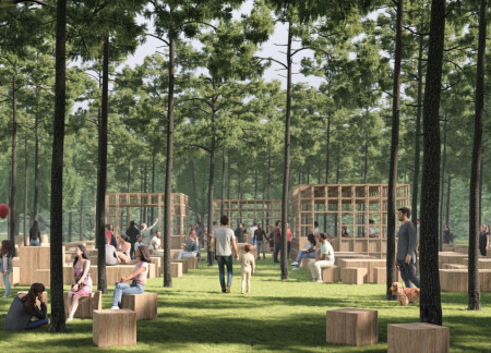Timber Canopy over Community Seating in a Forest Setting
