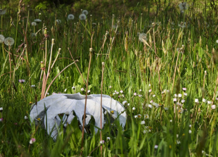 Bent Bamboo Pavilion Embracing Nature with Arch Altars