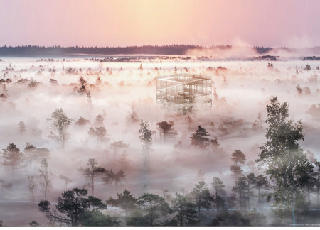Recycled Scaffolding Tower Embracing Nature and Community in a Humid Landscape