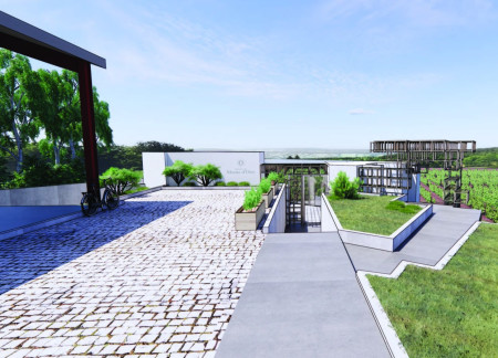 Vine Growing Trellis Enhances Social Experience in Wine Tasting Room