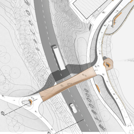Timber-Clad Lookout Bridge Designed with Parabolic Cords over Natural Landscape