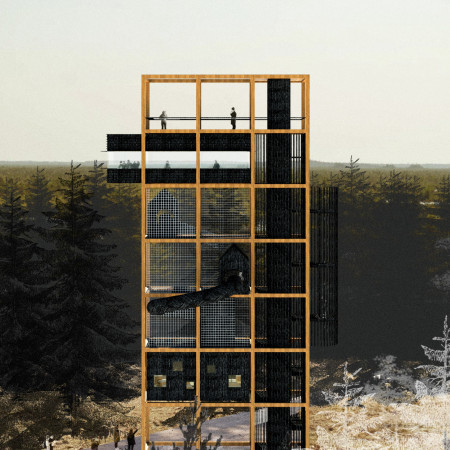 A Timber Observation Tower for Wetland Landscapes