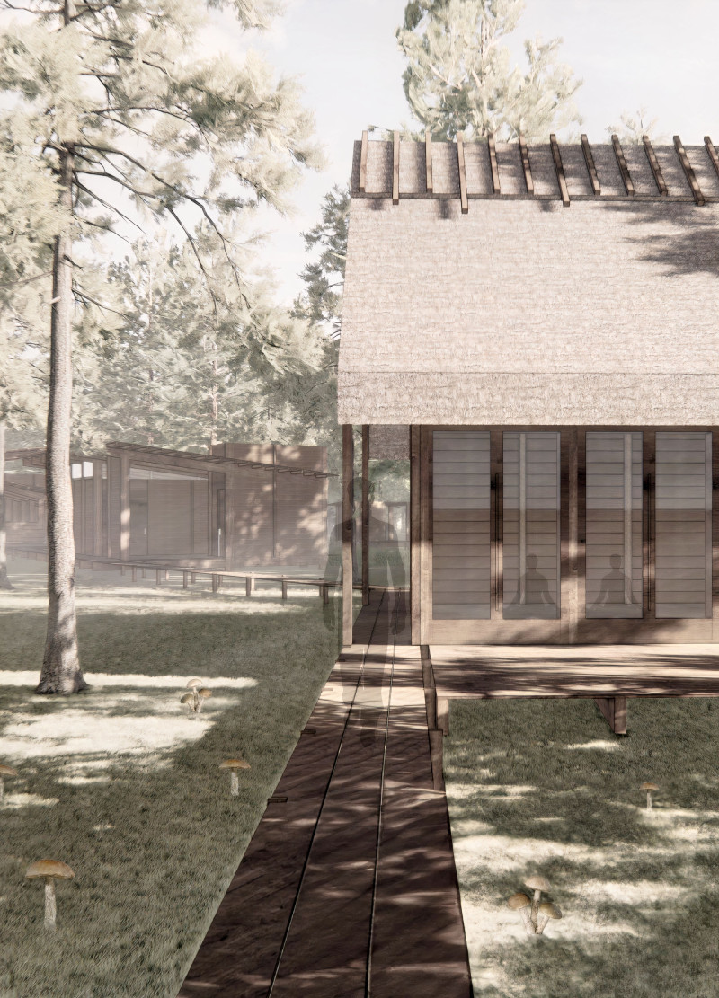 Forest Wellness Retreat with Elevated Timber Cabins