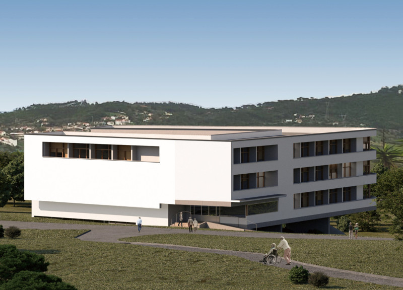 Courtyard Integration of Floating Timber Frames with Natural Light and Sustainable Materials