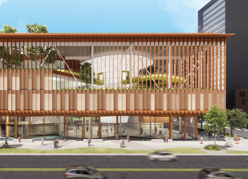 Biophilic Design Featuring Vertical Slats and Natural Materials in a Holistic Care Facility