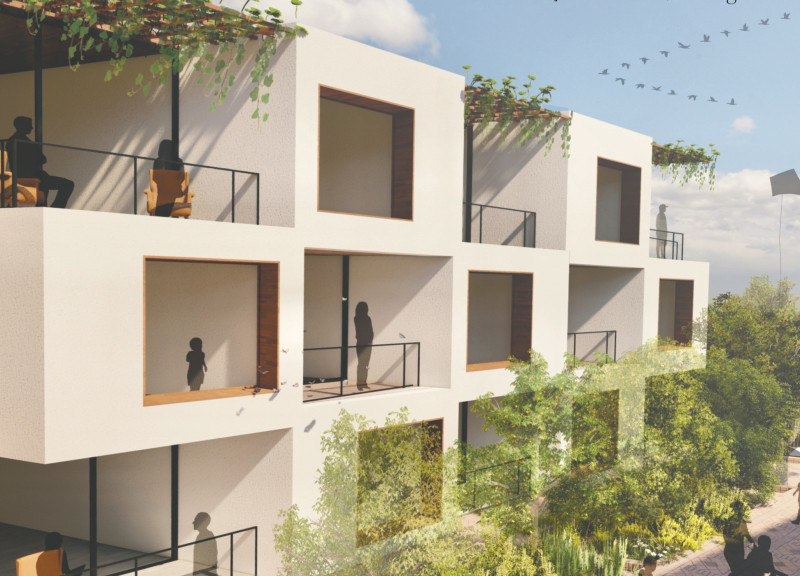 Terraced Living Spaces with Natural Wood Finishes and Community Gardens for Senior Residents