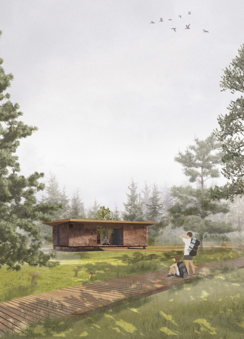 Thatch Roof and Zinc Cladding Harmonize in a Sustainable Baltic Retreat