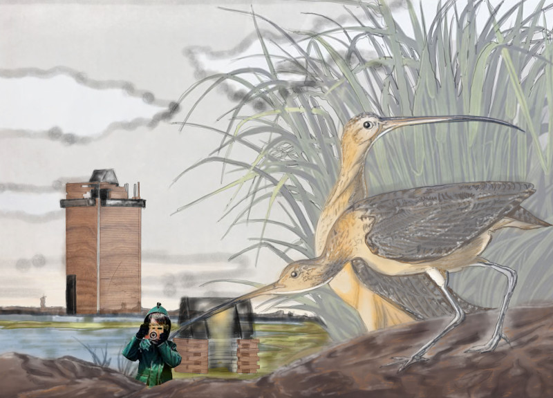 Canopy Observation Tower with Cross-Laminated Timber Panels and Charred Wooden Shingles in Wetland Environment