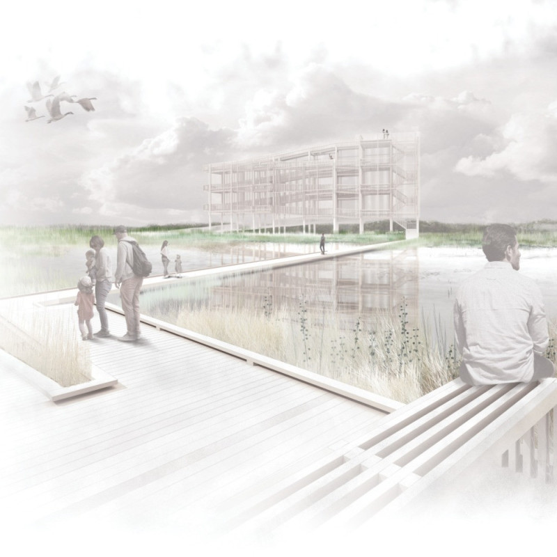 Elevated Observation Decks Crafted from Heavy Timber and Designed for Ecological Engagement