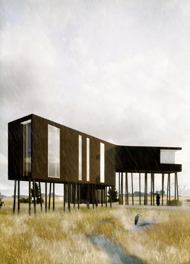 Marshland Hub on an Elevated Timber Structure
