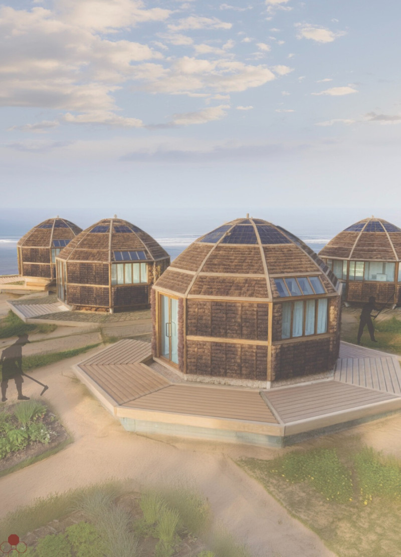 Seaweed Insulation and Cypress Wood Form Communal Refuge for Displaced Individuals