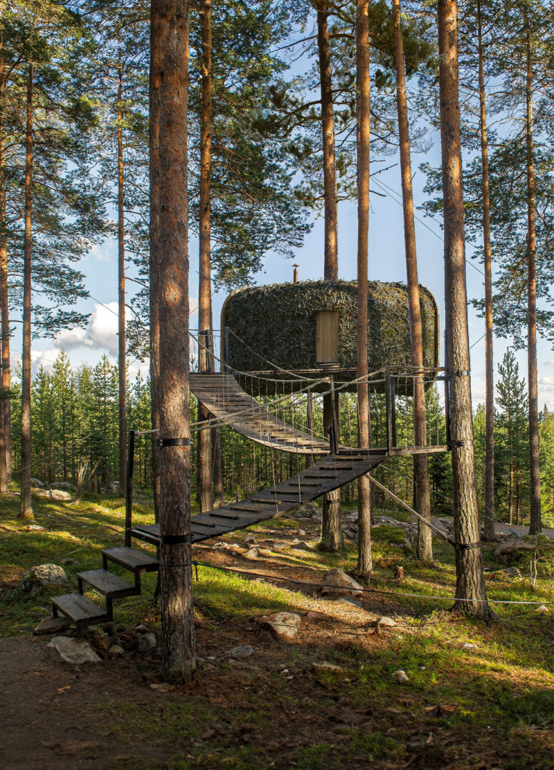 Charred Wooden Shingles and Cork Facades Enhance Forest-Integrated Living Space