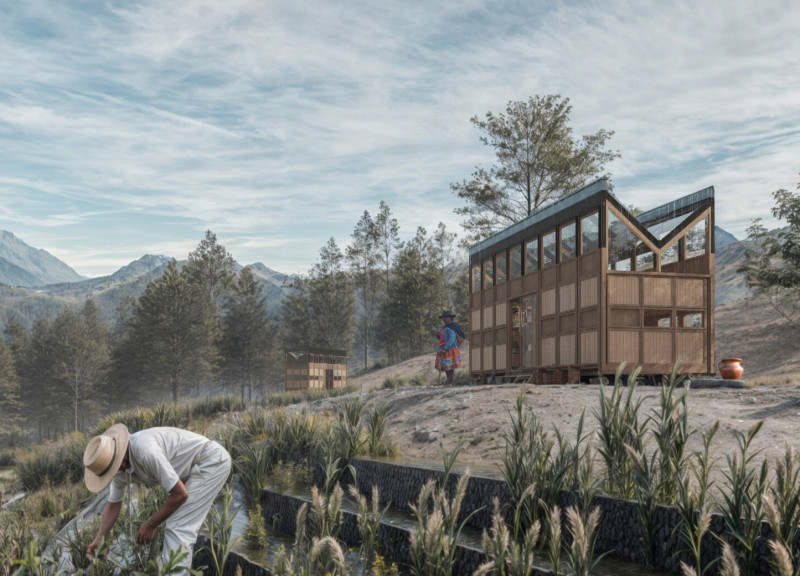 Subsurface Water Harvesting with Native Reeds and Flexible Living Modules